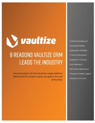 9 Reasons to Invest in Vaultize DRM_Page_1.jpg